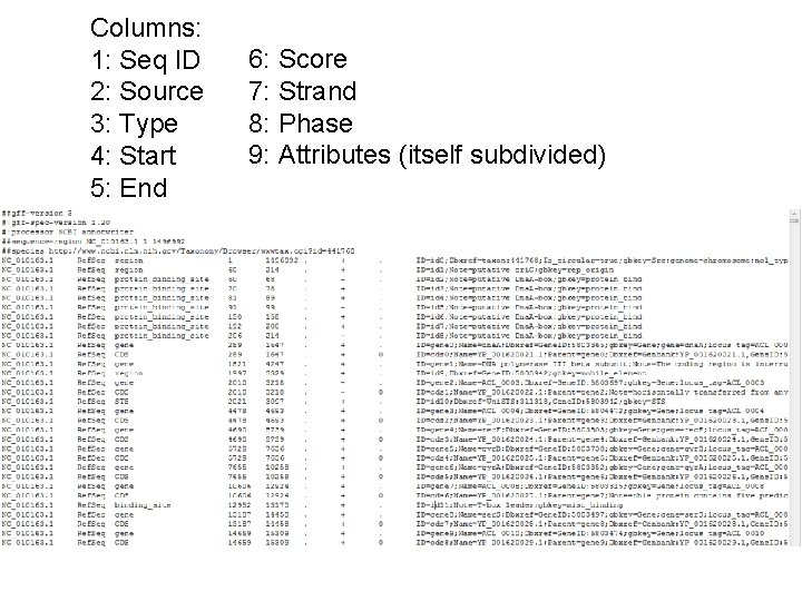 Columns: 1: Seq ID 2: Source 3: Type 4: Start 5: End 6: Score