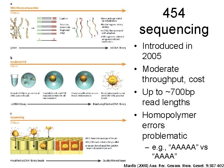 454 sequencing • Introduced in 2005 • Moderate throughput, cost • Up to ~700