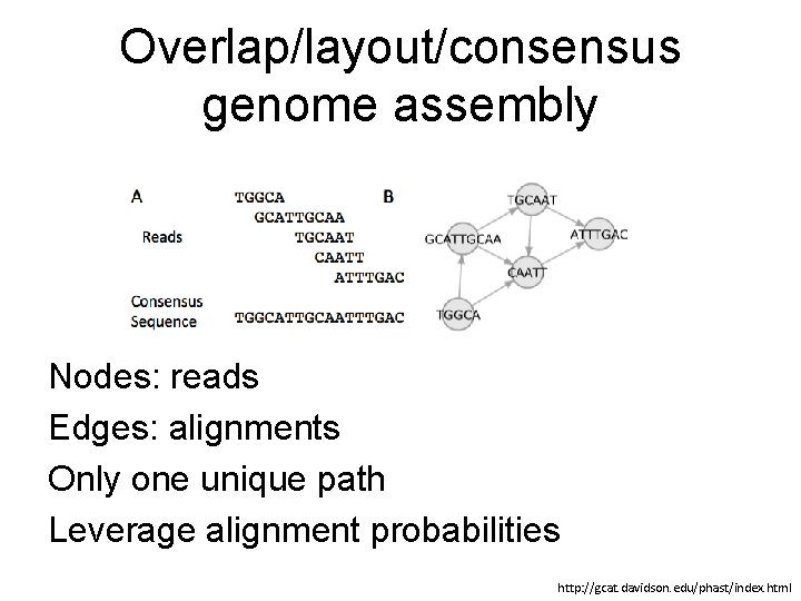 Overlap/layout/consensus genome assembly Nodes: reads Edges: alignments Only one unique path Leverage alignment probabilities