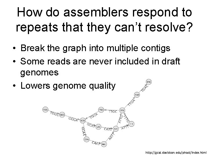 How do assemblers respond to repeats that they can’t resolve? • Break the graph