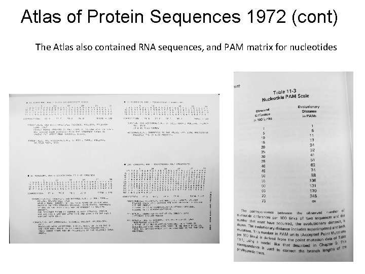 Atlas of Protein Sequences 1972 (cont) The Atlas also contained RNA sequences, and PAM