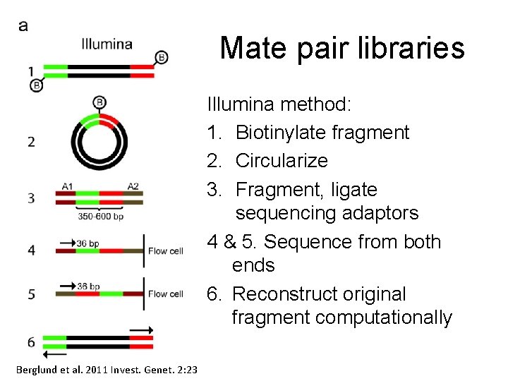 Mate pair libraries Illumina method: 1. Biotinylate fragment 2. Circularize 3. Fragment, ligate sequencing