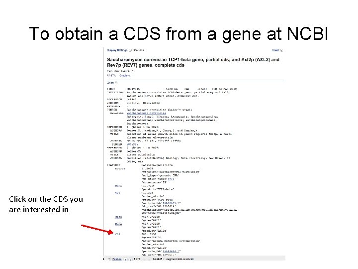 To obtain a CDS from a gene at NCBI Click on the CDS you