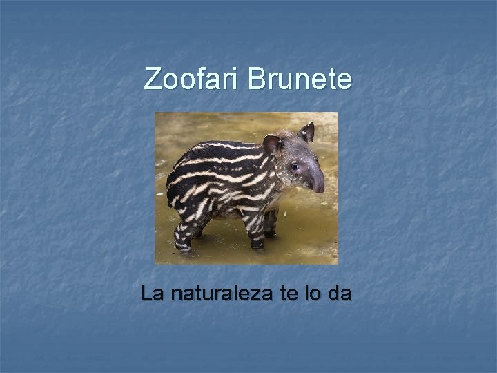 Zoofari Brunete La naturaleza te lo da 