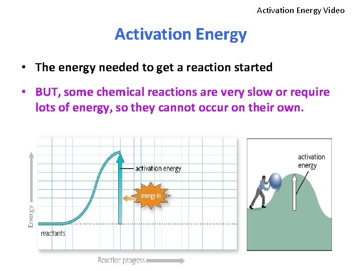 Activation Energy Video Activation Energy • The energy needed to get a reaction started