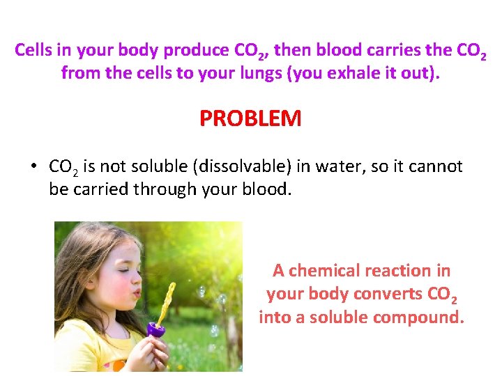 Cells in your body produce CO 2, then blood carries the CO 2 from