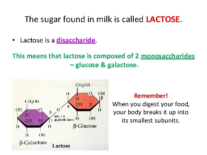 The sugar found in milk is called LACTOSE. • Lactose is a disaccharide. This