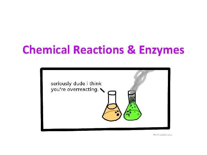 Chemical Reactions & Enzymes 