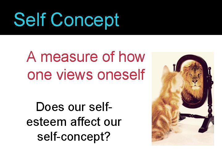Self Concept A measure of how one views oneself Does our selfesteem affect our