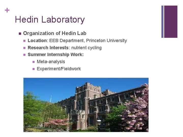 + Hedin Laboratory n Organization of Hedin Lab n Location: EEB Department, Princeton University