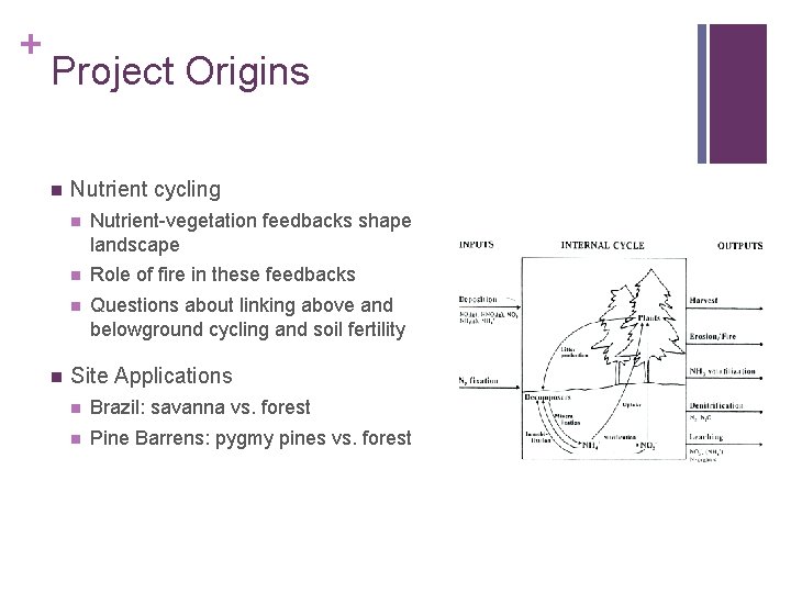 + Project Origins n n Nutrient cycling n Nutrient-vegetation feedbacks shape landscape n Role