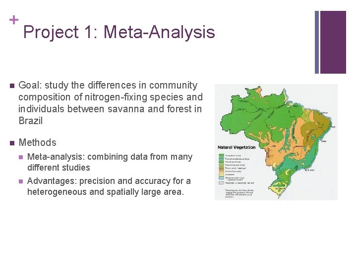 + Project 1: Meta-Analysis n Goal: study the differences in community composition of nitrogen-fixing