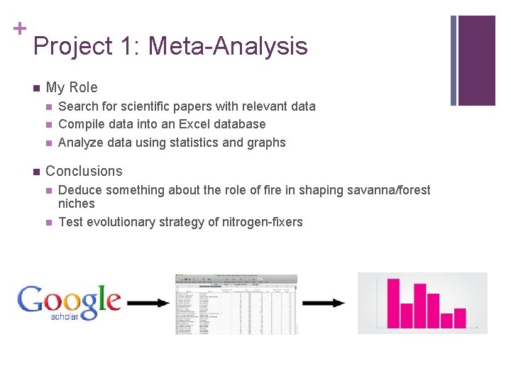 + Project 1: Meta-Analysis n My Role n n Search for scientific papers with