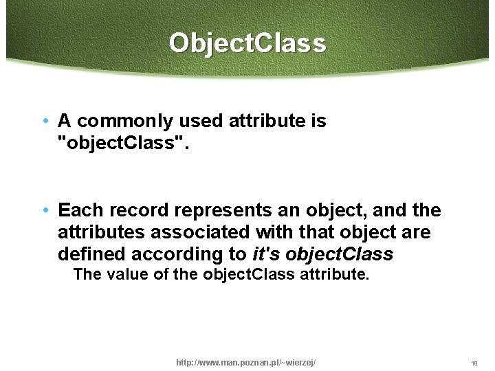 Object. Class • A commonly used attribute is "object. Class". • Each record represents