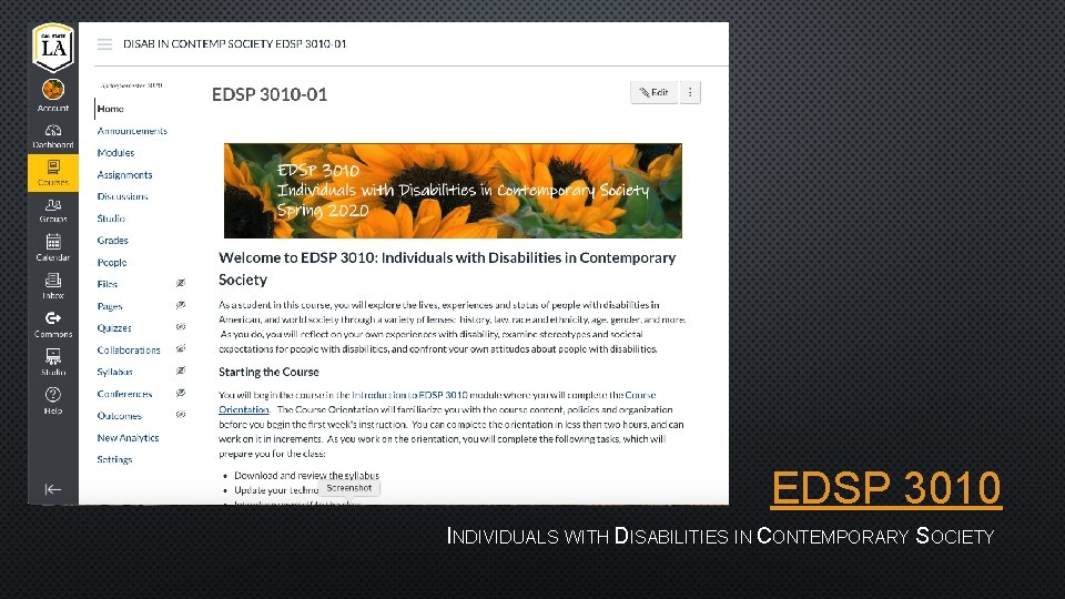 EDSP 3010 INDIVIDUALS WITH DISABILITIES IN CONTEMPORARY SOCIETY 
