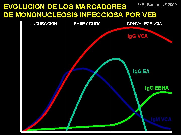 © R. Benito, UZ 2009 EVOLUCIÓN DE LOS MARCADORES DE MONONUCLEOSIS INFECCIOSA POR VEB