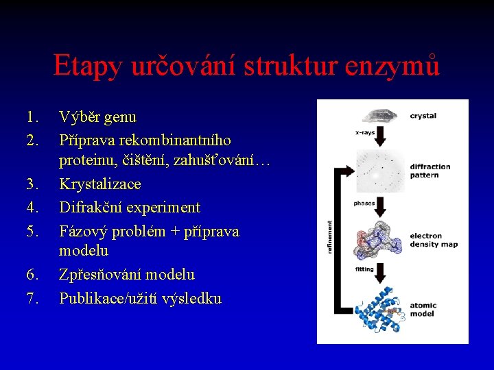 Etapy určování struktur enzymů 1. 2. 3. 4. 5. 6. 7. Výběr genu Příprava