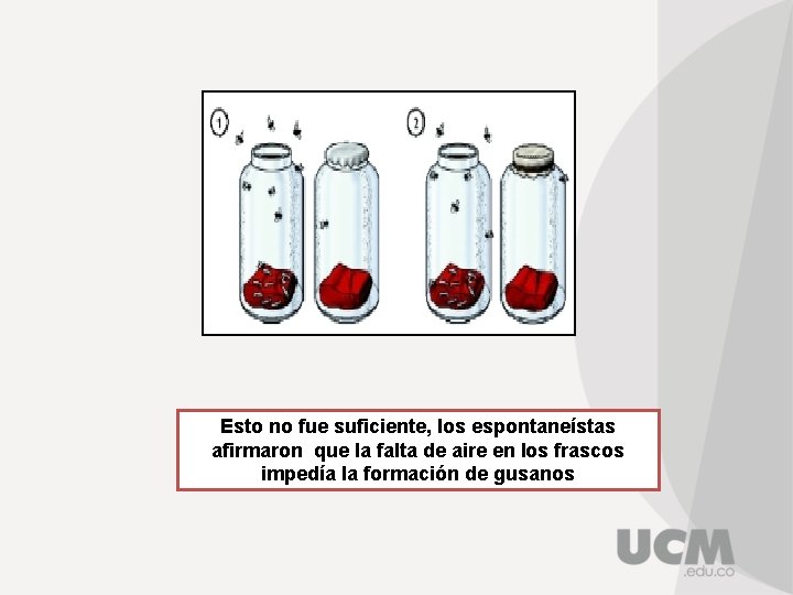 Esto no fue suficiente, los espontaneístas afirmaron que la falta de aire en los