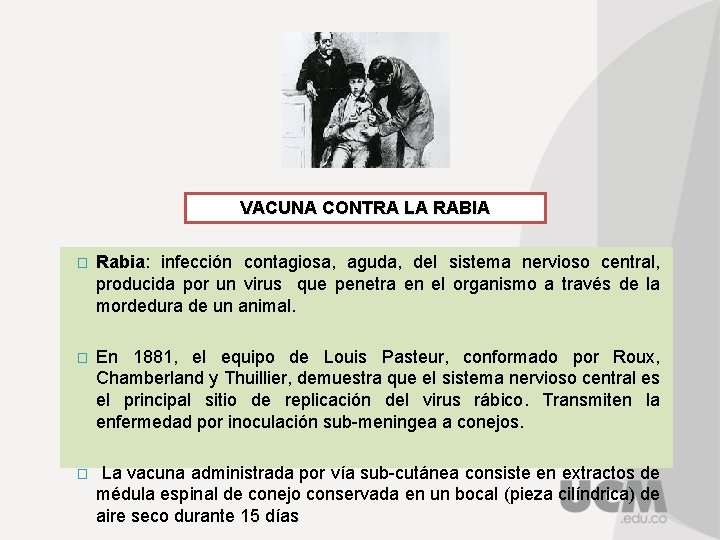 VACUNA CONTRA LA RABIA � Rabia: infección contagiosa, aguda, del sistema nervioso central, producida