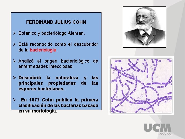 FERDINAND JULIUS COHN Ø Botánico y bacteriólogo Alemán. Ø Está reconocido como el descubridor
