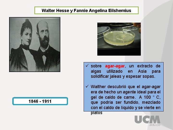 Walter Hesse y Fannie Angelina Eilshemius ü sobre agar-agar, un extracto de algas utilizado