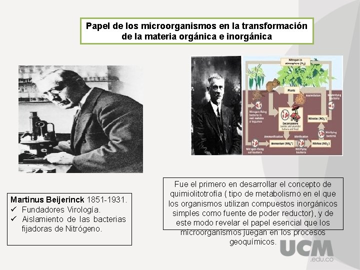 Papel de los microorganismos en la transformación de la materia orgánica e inorgánica Martinus