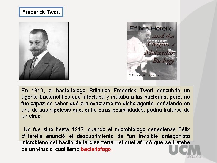 Frederick Twort En 1913, el bacteriólogo Británico Frederick Twort descubrió un agente bacteriolítico que