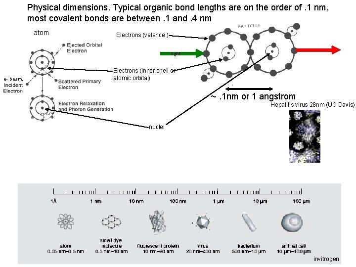 Physical dimensions. Typical organic bond lengths are on the order of. 1 nm, most