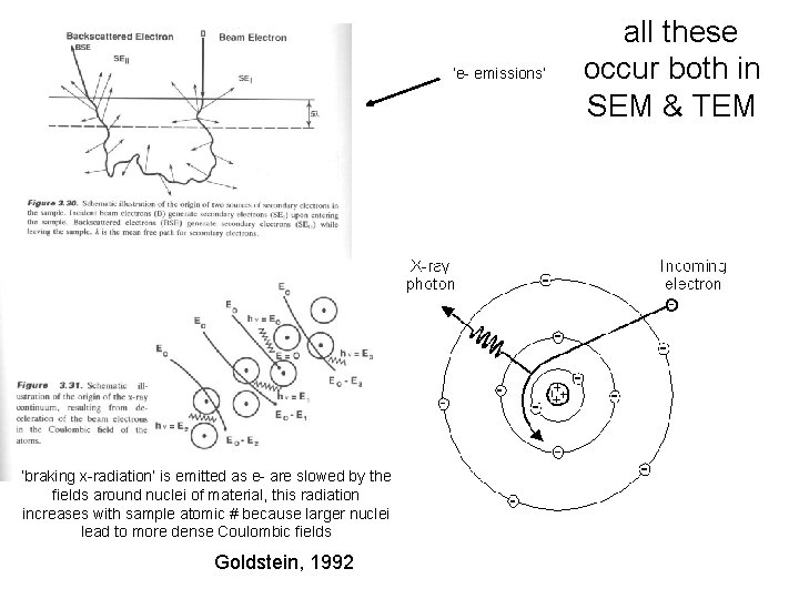 ‘e- emissions’ ‘braking x-radiation’ is emitted as e- are slowed by the fields around