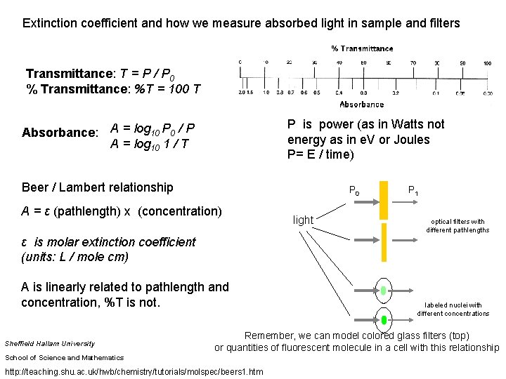 Extinction coefficient and how we measure absorbed light in sample and filters Transmittance: T