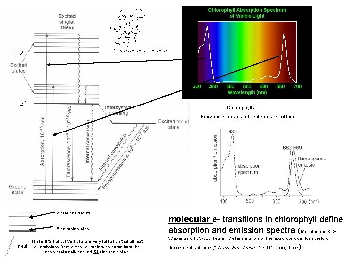 S 2 S 1 Chlorophyll a Emission is broad and centered at ~650 nm