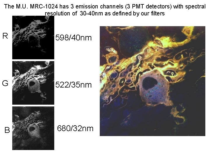 The M. U. MRC-1024 has 3 emission channels (3 PMT detectors) with spectral resolution