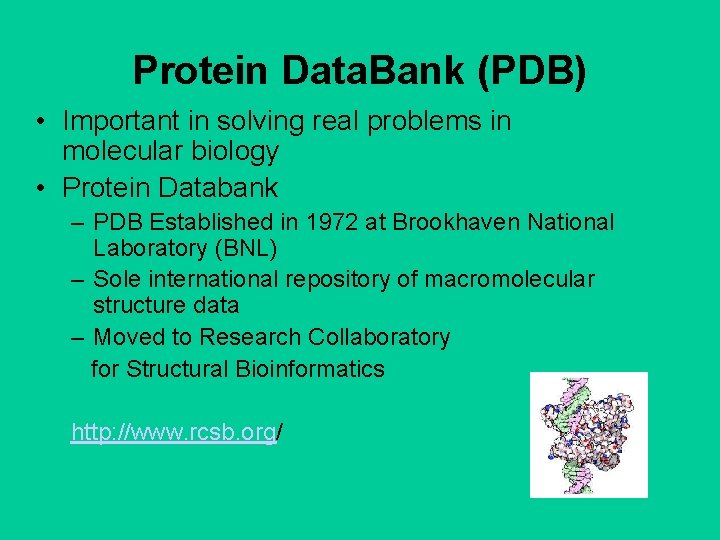 Protein Data. Bank (PDB) • Important in solving real problems in molecular biology •