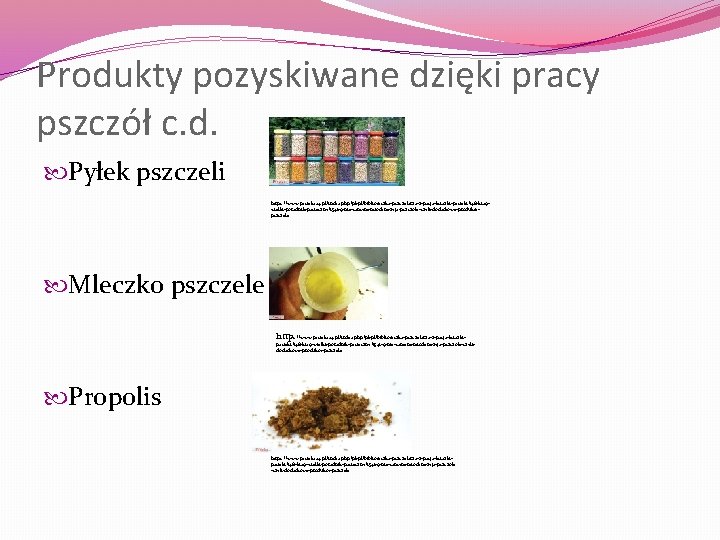 Produkty pozyskiwane dzięki pracy pszczół c. d. Pyłek pszczeli https: //www. pasieka 24. pl/index.