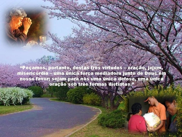 “Peçamos, portanto, destas três virtudes – oração, jejum, misericórdia – uma única força mediadora