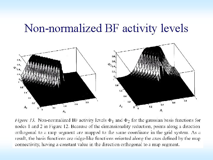 Non-normalized BF activity levels Non-normalized BF activity levels
