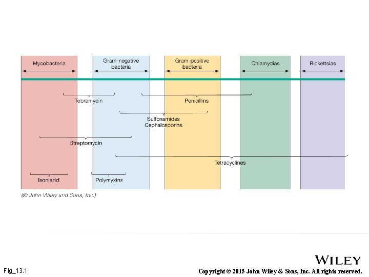 Fig_13. 1 Copyright © 2015 John Wiley & Sons, Inc. All rights reserved. 