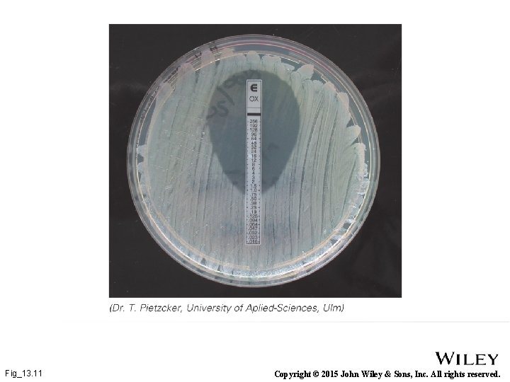 Fig_13. 11 Copyright © 2015 John Wiley & Sons, Inc. All rights reserved. 