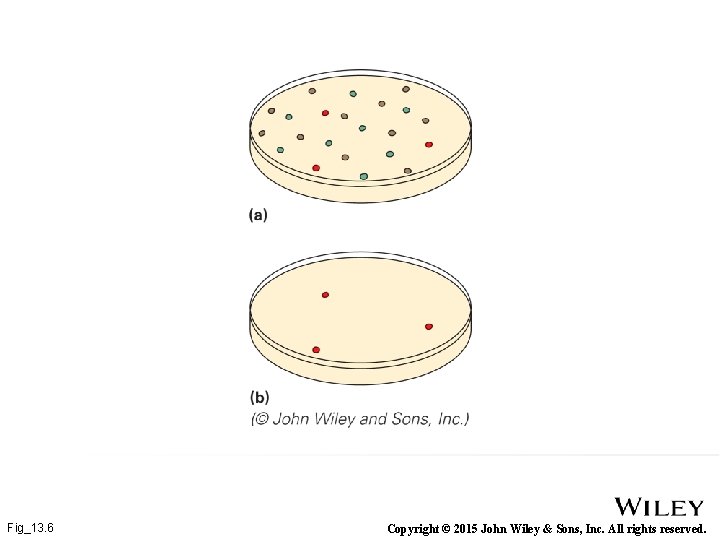 Fig_13. 6 Copyright © 2015 John Wiley & Sons, Inc. All rights reserved. 