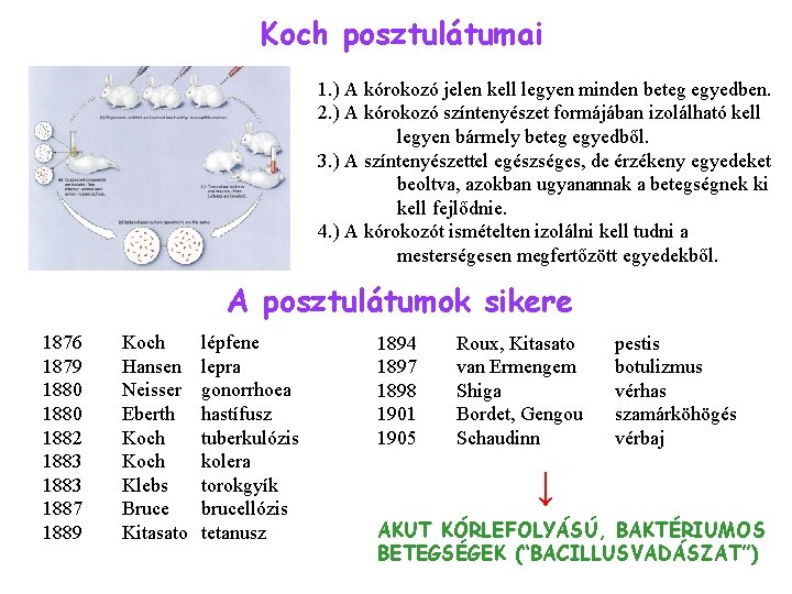 Koch posztulátumai 1. ) A kórokozó jelen kell legyen minden beteg egyedben. 2. )