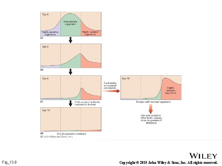 Fig_13. 8 Copyright © 2015 John Wiley & Sons, Inc. All rights reserved. 