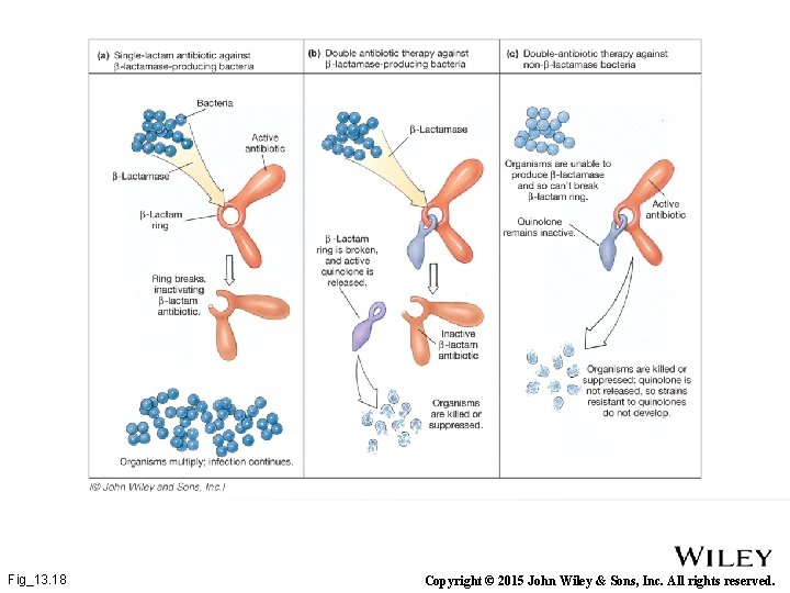 Fig_13. 18 Copyright © 2015 John Wiley & Sons, Inc. All rights reserved. 