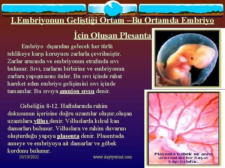 I. Embriyonun Geliştiği Ortam –Bu Ortamda Embriyo İçin Oluşan Plesanta Embriyo dışarıdan gelecek her