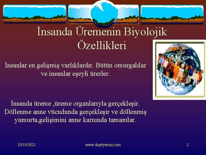 İnsanda Üremenin Biyolojik Özellikleri İnsanlar en gelişmiş varlıklardır. Bütün omurgalılar ve insanlar eşeyli ürerler.