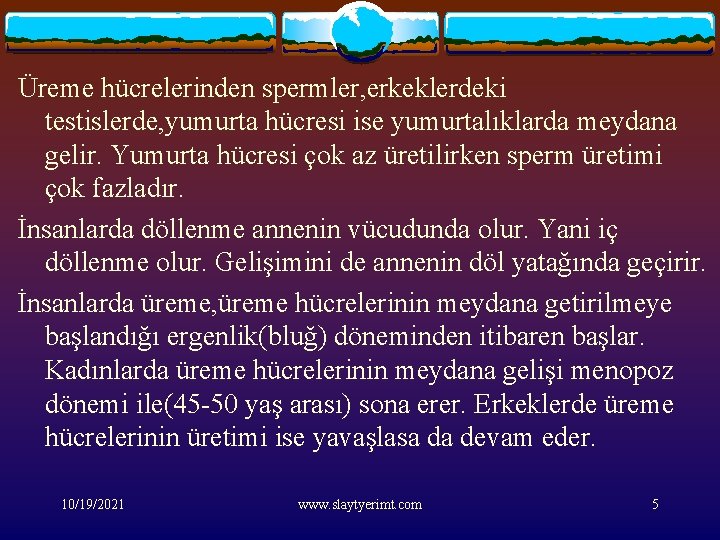 Üreme hücrelerinden spermler, erkeklerdeki testislerde, yumurta hücresi ise yumurtalıklarda meydana gelir. Yumurta hücresi çok