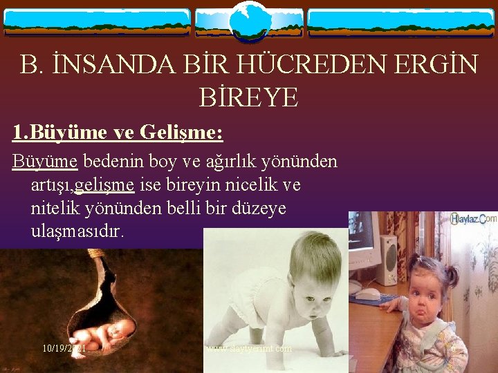 B. İNSANDA BİR HÜCREDEN ERGİN BİREYE 1. Büyüme ve Gelişme: Büyüme bedenin boy ve