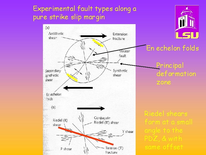 Experimental fault types along a pure strike slip margin En echelon folds Principal deformation