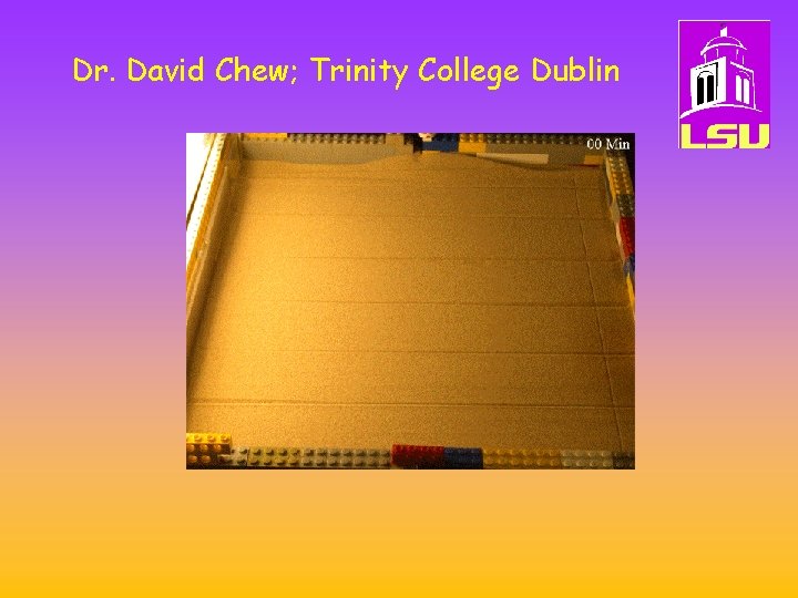 Dr. David Chew; Trinity College Dublin 