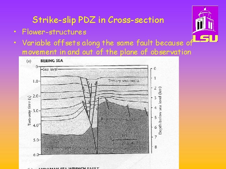 Strike-slip PDZ in Cross-section • Flower-structures • Variable offsets along the same fault because