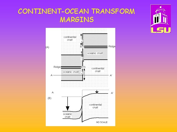 CONTINENT-OCEAN TRANSFORM MARGINS 